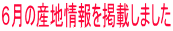 U̎Ynfڂ܂