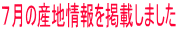 �V���̎Y�n�����f�ڂ��܂���